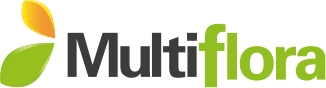 Logo 1 del sorteo